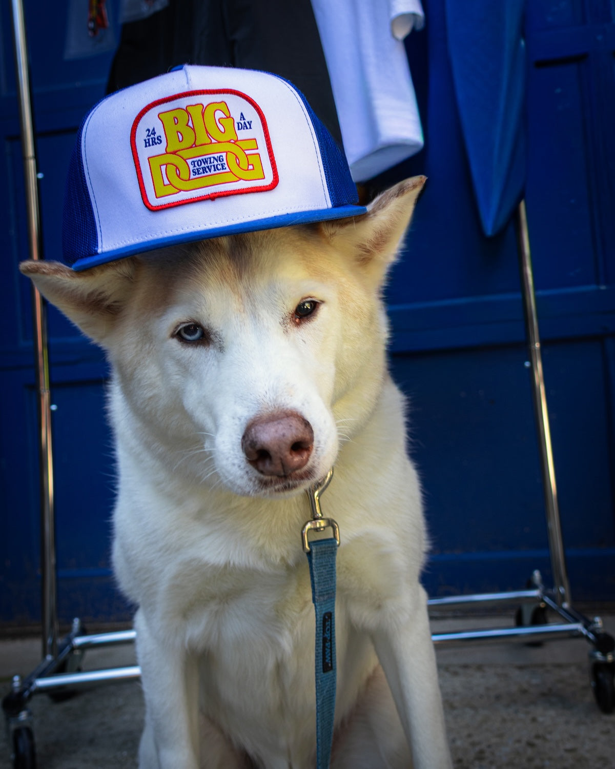 Big Dog Towing Trucker Hat Big Dog Towing HatMatty Matheson