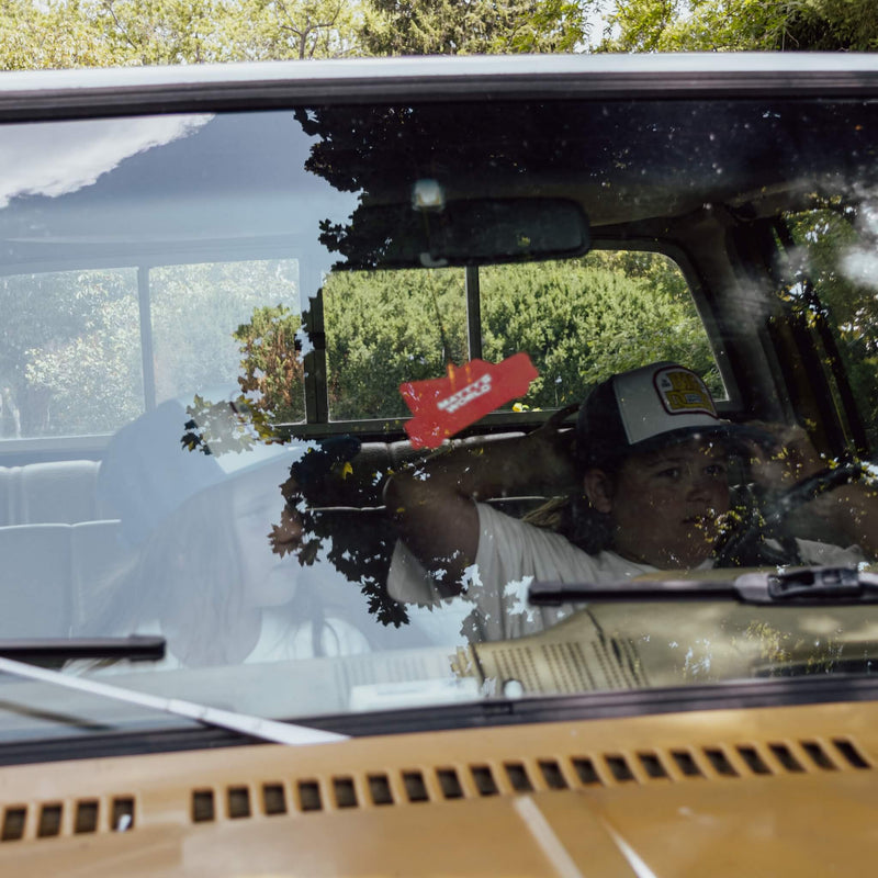 Big Dog Towing Air Freshener