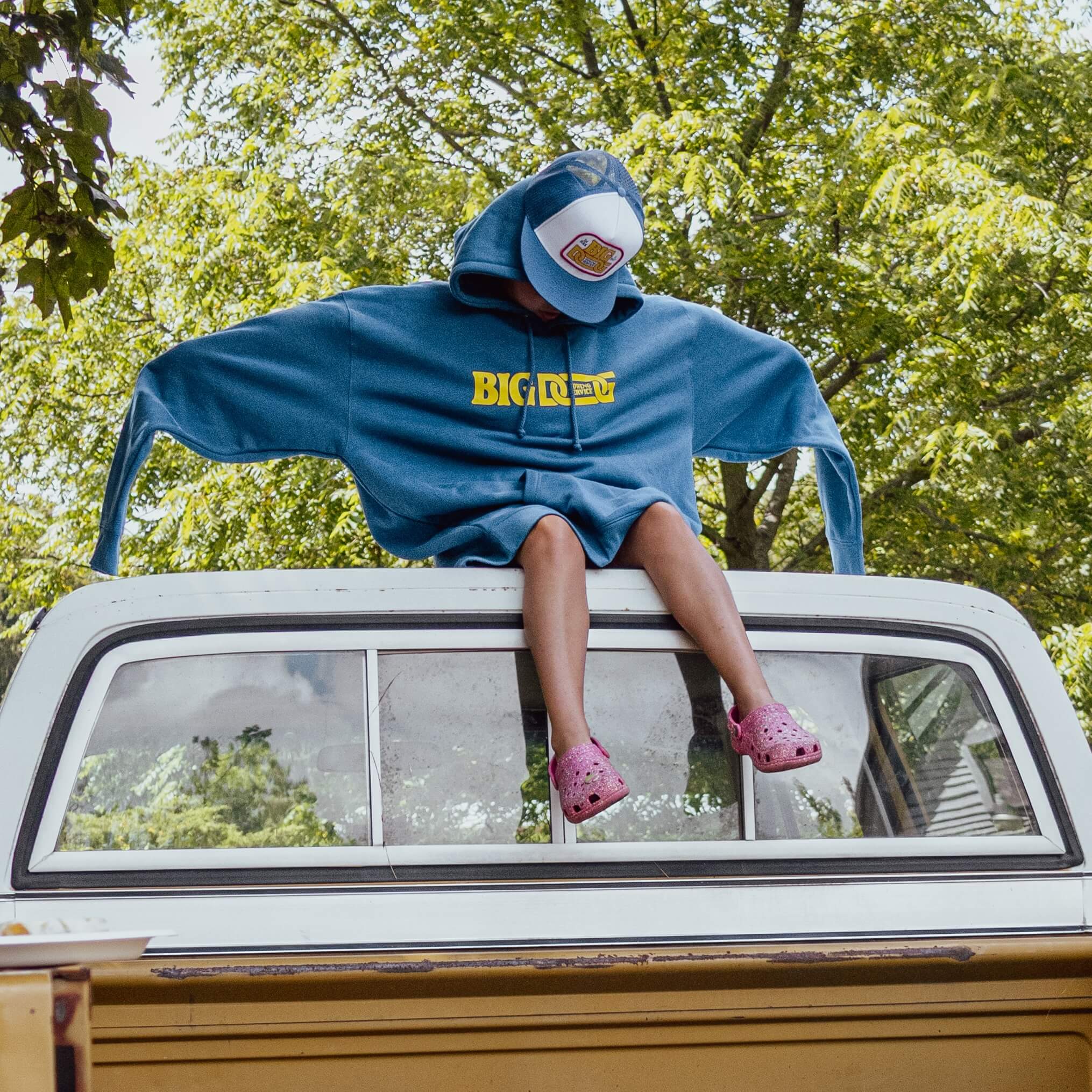 Big Dog Towing Hoodie
