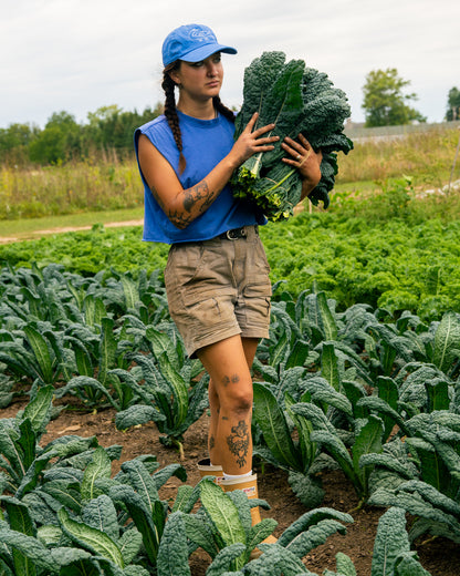 Blue Goose Farm Hat