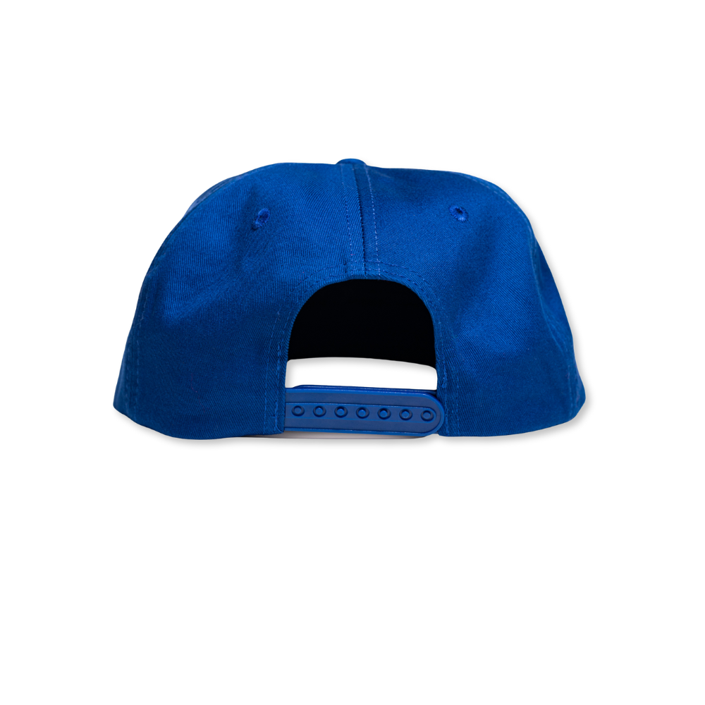 Blue cap back view on a white background